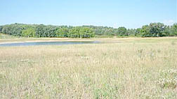 OVER LOOKING POND - SPLIT IN TWO